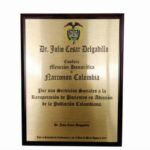 Placa reconocimiento madera (6)