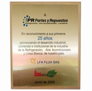 Placa reconocimiento madera (8)
